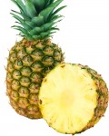 pineapple_PNG2754